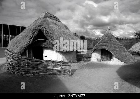 Antique,Archéologie,Archéologique,Archéologue,Beaker,Culture,Amesbury,BC,3000,Stonehenge,Wiltshire,Grande-Bretagne,Britannique,Bluestones, Banque D'Images