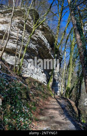 Europe, Luxembourg, Mullerthal, le sentier Mullerthal qui serpente à travers les formations rocheuses de la vallée de l'Ernz Noire en hiver Banque D'Images
