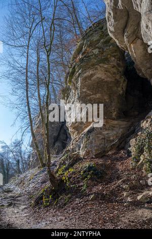 Europe, Luxembourg, Mullerthal, le sentier Mullerthal passant par les formations rocheuses de la vallée de l'Ernz Noire en hiver Banque D'Images