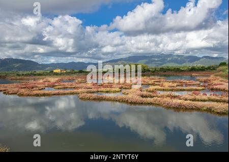 La réserve naturelle de la Laguna di Nora, Sardaigne, Italie Banque D'Images