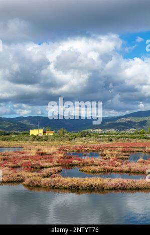 La réserve naturelle de la Laguna di Nora, Sardaigne, Italie Banque D'Images