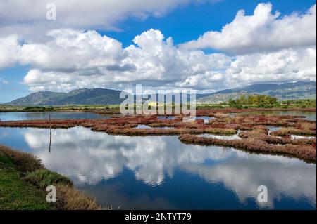 La réserve naturelle de la Laguna di Nora, Sardaigne, Italie Banque D'Images