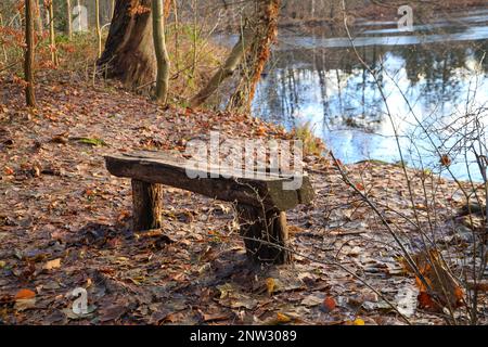 Un banc en bois au Mühlenteich (étang du moulin) au château de Dammsmühle en hiver, état fédéral de Brandebourg - Allemagne Banque D'Images