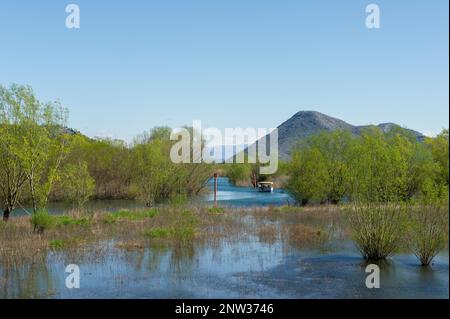 Un petit bateau sur le lac Skadar vu du village de Virpazar Banque D'Images