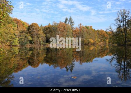 Le Mühlenteich (étang du moulin) au château de Dammsmühle en automne, état fédéral de Brandebourg - Allemagne Banque D'Images