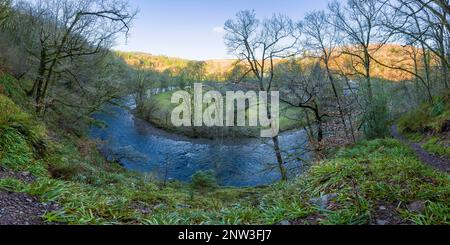 La rivière Barle de Burridge Woods près de Dulverton dans le parc national Exmoor, Somerset, Angleterre. Banque D'Images