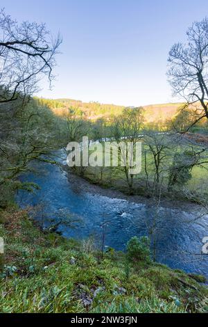 La rivière Barle de Burridge Woods près de Dulverton dans le parc national Exmoor, Somerset, Angleterre. Banque D'Images