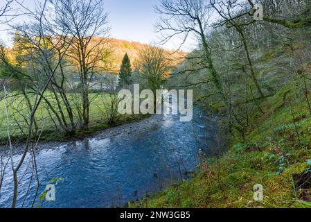 La rivière Barle de Burridge Woods près de Dulverton dans le parc national Exmoor, Somerset, Angleterre. Banque D'Images