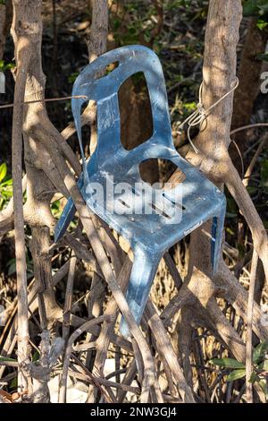 Une ancienne chaise en plastique dans les racines d'un mangrove Banque D'Images