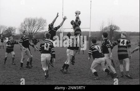 Années 1980, histoire, Union de rugby amateur, bond en haut, un joueur avant saisissant le ballon du lancer dans la line-out, Angleterre, Royaume-Uni. Banque D'Images