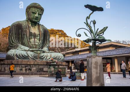 Le Daibutsu (Grand Bouddha de bronze). Kotoku-in, Kamakura, Japon Banque D'Images