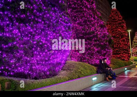 Lumières de Noël, dans le sud de l'exposée, Shinjuku, Tokyo, Japon. Banque D'Images