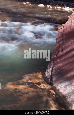 Une longue exposition crée une cascade soyeuse et des feuilles floues qui encerclent à côté d'un gros rocher rouge dans la rivière Virgin, près des Narrows dans Zion Nationa Banque D'Images