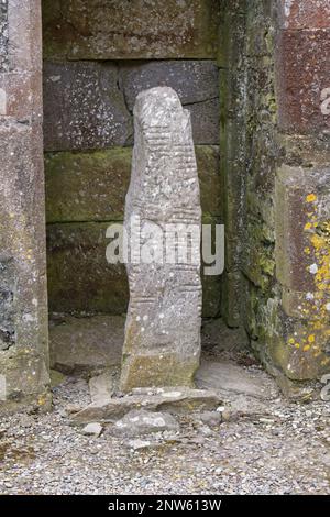 Pierres d'ogham aux ruines de la cathédrale de Declan Ardmore Co Waterford Banque D'Images