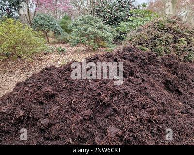 Gros plan d'un tas de compost bien pourri vu dans le jardin en hiver. Banque D'Images