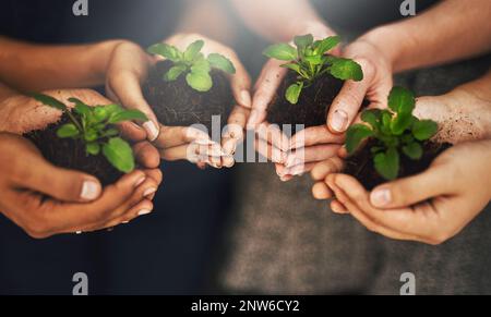 Passer au vert est juste bon pour tout le monde. Plan de culture d'un groupe de personnes tenant des plantes poussant hors du sol. Banque D'Images