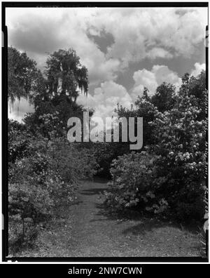 Middleton place, Ashley River vic., comté de Dorchester, Caroline du Sud. Carnegie Etude de l'architecture du Sud. États-Unis Caroline du Sud Dorchester County Ashley River vic, Gardens, mousse espagnole. Banque D'Images
