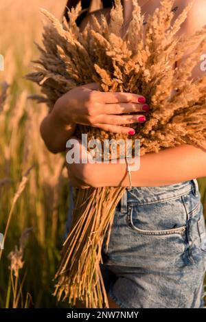 Image rognée d'une jeune femme tenant des épillets dans le champ de blé. Banque D'Images