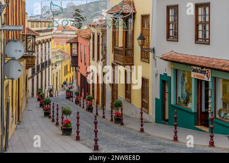 Des plantes de poinsettia rouge vif bordent la Calle San Francisco colorée, festive et pittoresque qui serpente à travers la Orotava à Tenerife. Banque D'Images