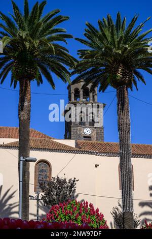 De grands palmiers encadrent la tour de l'église de l'Immaculée conception à San Cristobal de la Laguna à Tenerife. Banque D'Images