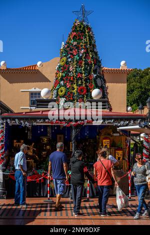 Un grand sapin de Noël orne un étal saisonnier au marché Mercado de Nuestra Senora de Africa à Santa Cruz de Tenerife. Banque D'Images