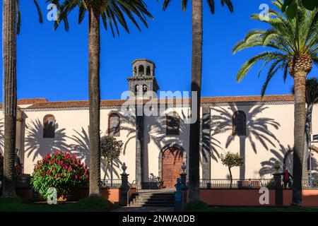 Le soleil de l'après-midi projette des ombres de palmiers sur le mur de l'Iglesia de la Concepción de la Laguna sur la Plaza Doctor Olivera. Banque D'Images