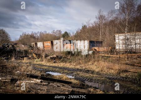 Wagons abandonnés et calèches au musée de la locomotive de Tyneside adjacent au chemin de fer de Tanfield à Marley Hill près de Stanley Banque D'Images