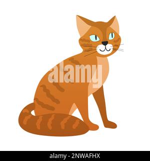 Chat national gingembre. Animal domestique moelleux, chat de race, illustration de dessin animé de vecteur félin de mammifère Illustration de Vecteur