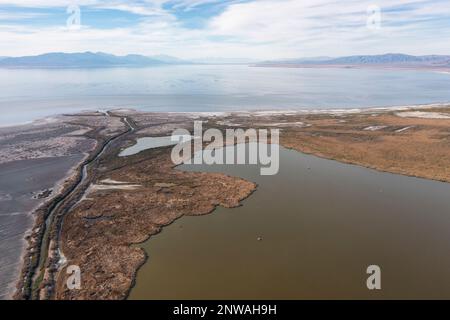 Les zones humides nouvellement créées tentent d'atténuer la crise environnementale qui se produit dans la mer de Salton, un lac en diminution rapide dans le désert de Californie. Banque D'Images