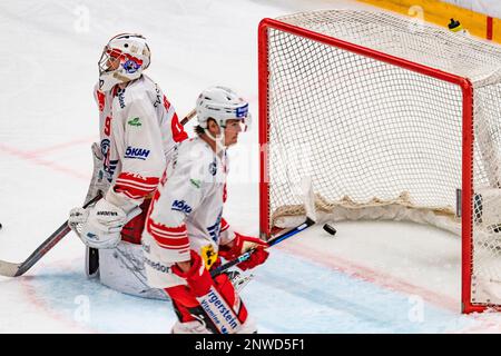 Lausanne Suisse, 02/28/2023: Robin Mayer (gardien de but) de SCRJ Lakers (91) concède un but pendant le match de 50th de la saison régulière de la Ligue nationale suisse 2022-2023. Le 50th jour de la saison régulière entre Lausanne HC et les boulangers SCRJ de Rapperswil-Jona et St. Gallen a eu lieu dans la Vaudoise Arena de Lausanne. Banque D'Images