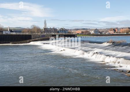 Trews weir sur la rivière exe à Exeter Banque D'Images