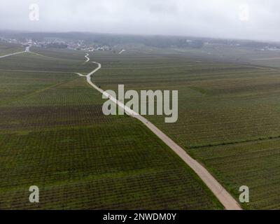 Vue aérienne panoramique d'hiver sur un paysage nuageux, vignobles de vallée près du village de champagne Ludes Premier cru près d'Epernay, production de vin en France Banque D'Images