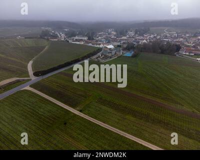 Vue aérienne panoramique d'hiver sur un paysage nuageux, vignobles de vallée près du village de champagne Ludes Premier cru près d'Epernay, production de vin en France Banque D'Images