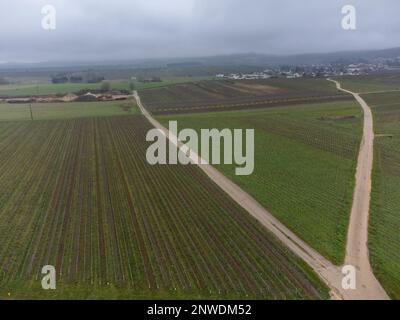 Vue aérienne panoramique d'hiver sur un paysage nuageux, vignobles de vallée près du village de champagne Ludes Premier cru près d'Epernay, production de vin en France Banque D'Images