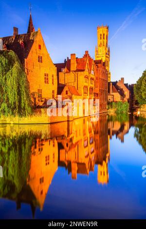 Bruges, Belgique. Rozenhoedkaai est un canal pittoresque bordé de bâtiments historiques et d'arbres, offrant une vue romantique sur l'architecture de la ville et Banque D'Images