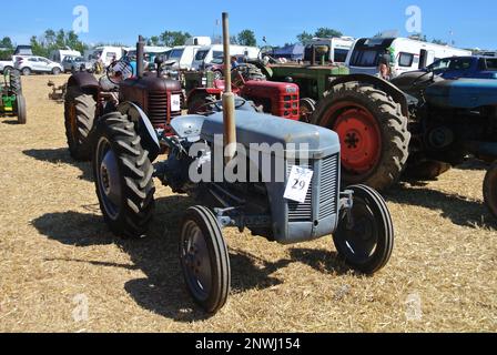 Un tracteur Nuffield 460 1962 est exposé à la Torbay Steam Fair, Devon, Angleterre, Royaume-Uni. Banque D'Images