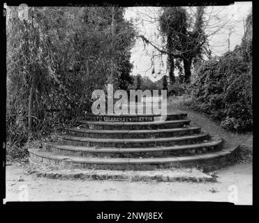 Middleton place, Ashley River vic., comté de Dorchester, Caroline du Sud. Carnegie Etude de l'architecture du Sud. États-Unis Caroline du Sud Dorchester County Ashley River vic, escaliers, Vines. Banque D'Images