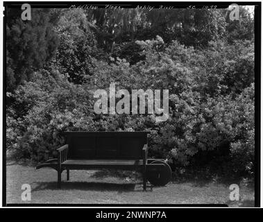 Middleton place, Ashley River vic., comté de Dorchester, Caroline du Sud. Carnegie Etude de l'architecture du Sud. États-Unis Caroline du Sud Dorchester County Ashley River vic, Azaleas, bancs. Banque D'Images