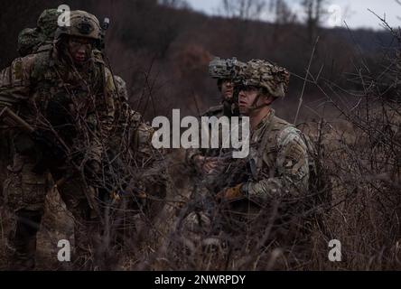 Des soldats affectés au bataillon des ingénieurs de la brigade 39th, à l'équipe de combat de la brigade 2nd, à la division aéroportée 101st (assaut aérien), au bataillon des ingénieurs de la Roumanie 96th et à la compagnie des ingénieurs des pays-Bas 11th conduisent l'exercice Bull Fury le 16 janvier 2023, en Roumanie. 101st unités soutiendront la mission du V corps pour renforcer le flanc est de l’OTAN et s’engageront dans des exercices multinationaux avec des partenaires à travers le continent européen pour rassurer nos alliés des nations. Banque D'Images