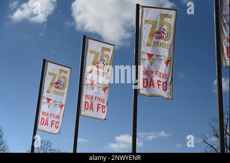 Cologne, Allemagne. 28th févr. 2023. Drapeaux avec l'inscription mir fiere dä fc ( nous célébrons le FC ) pour l'anniversaire 75th du 1. Le FC Köln est en train de s'agiter devant le stade RheinEnergie crédit: Horst Galuschka/dpa/Alamy Live News Banque D'Images