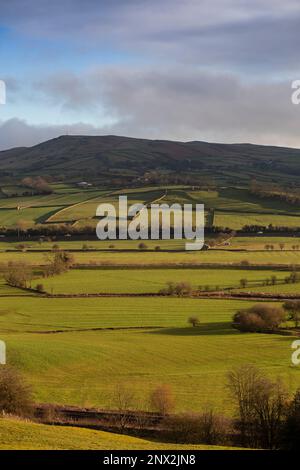 La vallée de l'aire près de Skipton, dans le Yorkshire du Nord. Airedale est une région géographique du Yorkshire, en Angleterre, correspondant à la vallée de la rivière ou le dale de la rivière aire. La vallée s'étend de l'origine de la rivière à aire Head Springs, Malham qui se trouve dans les Yorkshire Dales, en passant par Skipton on à Keighley, Bingley et Shipley jusqu'à Leeds et Castleford et pour rejoindre la rivière Ouse à Airmyn. Cette vallée est d'une grande importance topographique car elle permet de passer à basse altitude à travers le centre des Pennines jusqu'à la côte ouest connue sous le nom de aire Gap Banque D'Images