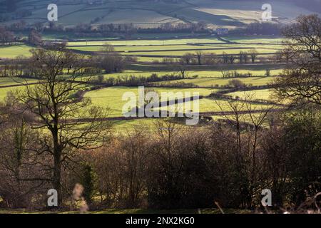 La vallée de l'aire près de Skipton, dans le Yorkshire du Nord. Airedale est une région géographique du Yorkshire, en Angleterre, correspondant à la vallée de la rivière ou le dale de la rivière aire. La vallée s'étend de l'origine de la rivière à aire Head Springs, Malham qui se trouve dans les Yorkshire Dales, en passant par Skipton on à Keighley, Bingley et Shipley jusqu'à Leeds et Castleford et pour rejoindre la rivière Ouse à Airmyn. Cette vallée est d'une grande importance topographique car elle permet de passer à basse altitude à travers le centre des Pennines jusqu'à la côte ouest connue sous le nom de aire Gap Banque D'Images