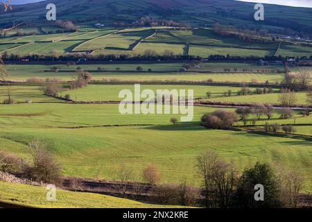 La vallée de l'aire près de Skipton, dans le Yorkshire du Nord. Airedale est une région géographique du Yorkshire, en Angleterre, correspondant à la vallée de la rivière ou le dale de la rivière aire. La vallée s'étend de l'origine de la rivière à aire Head Springs, Malham qui se trouve dans les Yorkshire Dales, en passant par Skipton on à Keighley, Bingley et Shipley jusqu'à Leeds et Castleford et pour rejoindre la rivière Ouse à Airmyn. Cette vallée est d'une grande importance topographique car elle permet de passer à basse altitude à travers le centre des Pennines jusqu'à la côte ouest connue sous le nom de aire Gap Banque D'Images