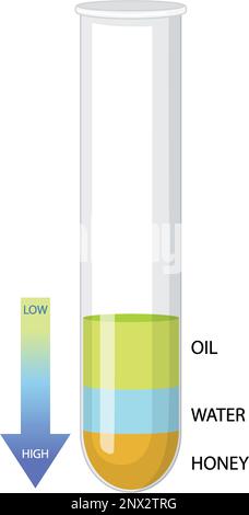 Densité de liquides illustration de l'expérience scientifique Illustration de Vecteur