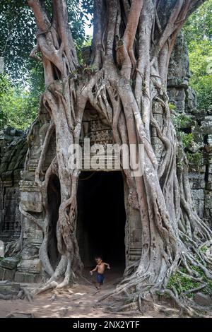Ta Som temple, Parc archéologique d'Angkor, Siem Reap, Cambodge Banque D'Images