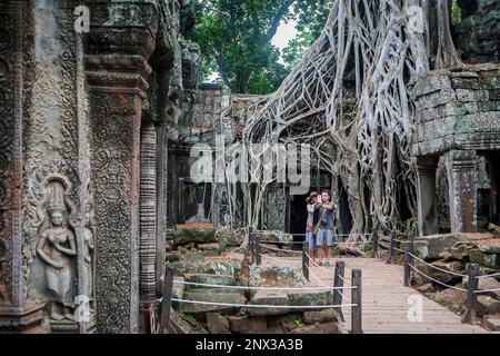 Ta Prohm temple, Parc archéologique d'Angkor, Siem Reap, Cambodge Banque D'Images
