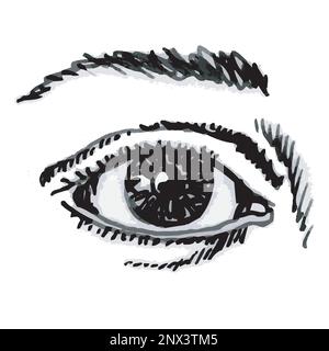 Dessin d'un œil, dessin à la main vectoriel noir et blanc Illustration de Vecteur