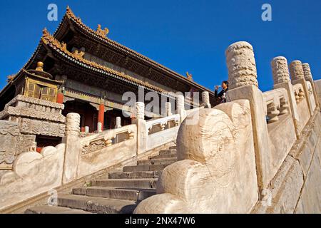 Qianqing Gate, dans la Cité Interdite, Beijing, Chine Banque D'Images