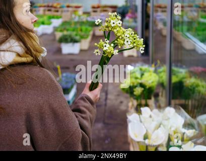 Mains femelles avec un bouquet de fleurs d'hélium au marché aux fleurs Banque D'Images