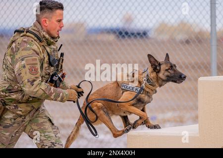 Le sergent d'état-major Kalib Murthy, maître-chien de travail militaire de l'escadron 341st des forces de sécurité, et sa Ffarah du MWD, ont suivi un cours d'obstacles à la base aérienne de Malmstrom, en montagne, le 24 janvier 2023. Le chantier d’obéissance K-9 de Malmstrom a fait l’objet d’une lifting en 2022, pour remplacer les obstacles désuets à l’entraînement du vinyle par des obstacles en béton afin d’augmenter la durée de vie de l’équipement, ainsi que pour réduire la probabilité qu’un chien se blesse. Banque D'Images